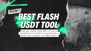 USDT Transaction Simulator