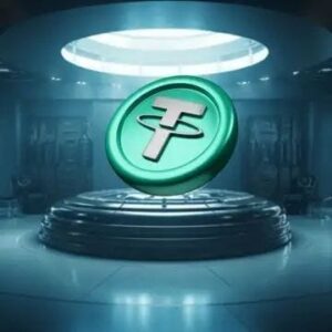 USDT Flash Software